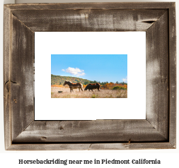 horseback riding near me in Piedmont, California